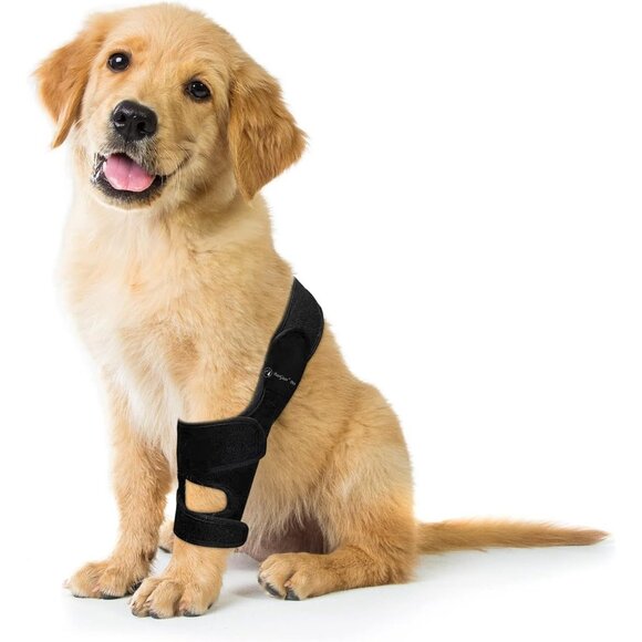 Knee Brace for Dogs ACL with Side Stabilizers Knee Cap Dislocation Arthritis - Picture 6 of 6